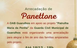 Leia mais sobre o artigo Arrecadação de Panettones para alegrar o fim de ano das famílias amparadas pelo projeto Patrulha Maria da Penha