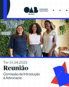 Leia mais sobre o artigo Reunião da Comissão de Introdução a Advocacia