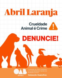 Leia mais sobre o artigo Abril Laranja