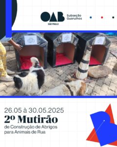 Leia mais sobre o artigo 2º Mutirão de Construção de Abrigos para Animais de Rua