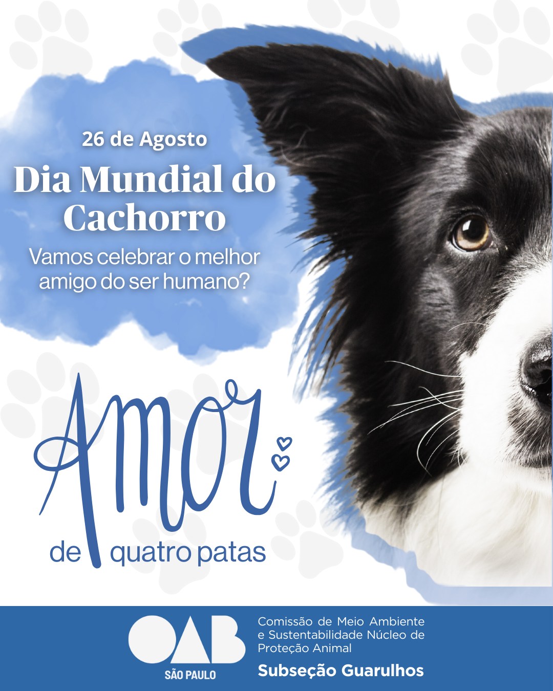No momento, você está visualizando 26 de Agosto – Dia Mundial do Cão