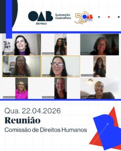Leia mais sobre o artigo Reunião Comissão de Direitos Humanos